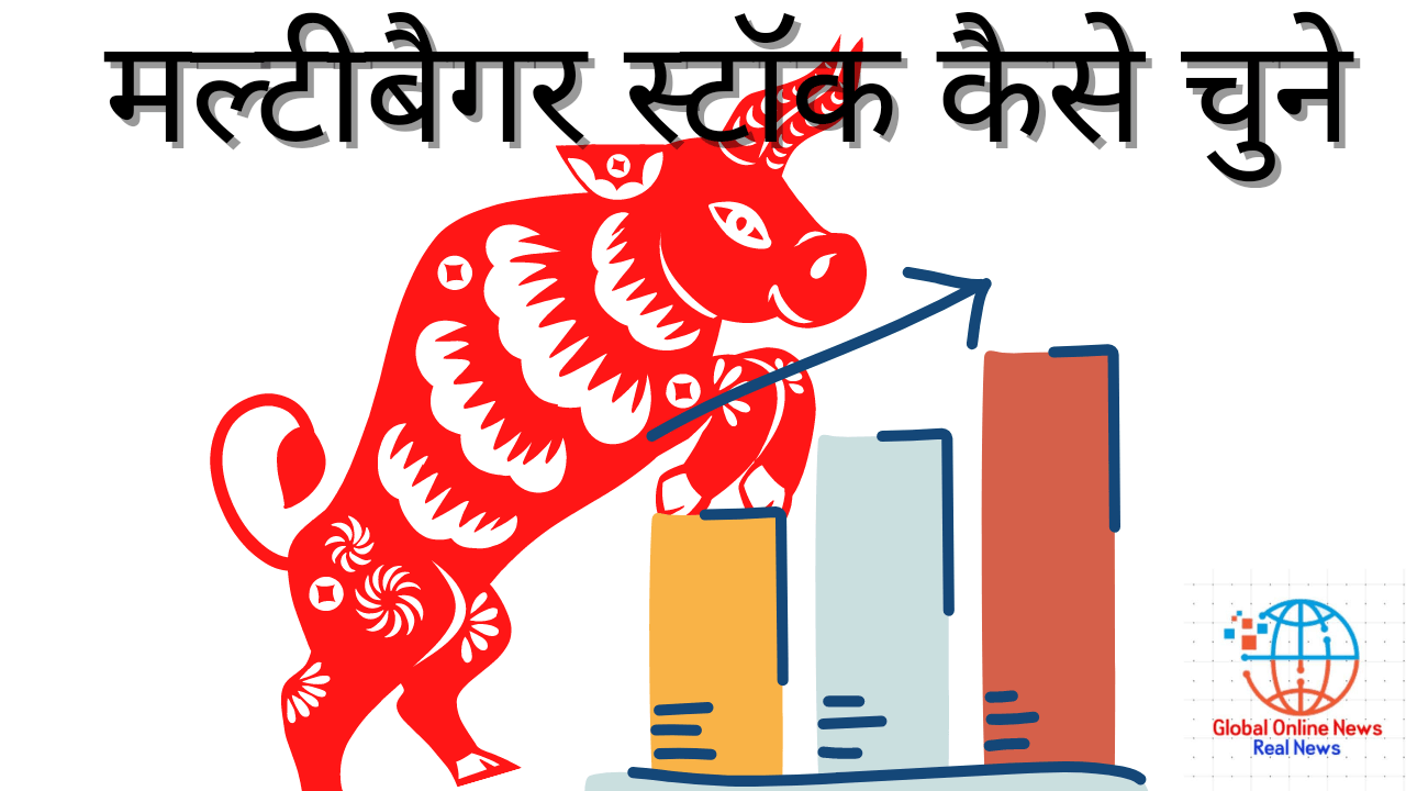 मल्टीबैगर स्टॉक कैसे चुने (How to choose a multi-bagger stock)