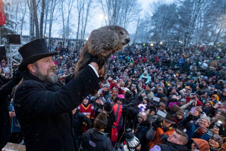 Punxutawney Phil