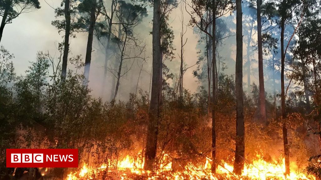 123456922 australianbushfire gettyimages 1198540877