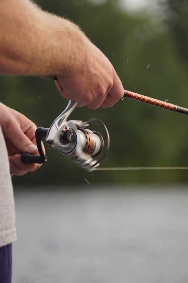 Baitcasting Reel